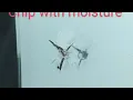 Windshield Crack Repair Queens New York