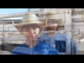 Monahans to attend Texas Jr High Rodeo Association