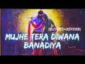 Lagu Mujhe Tera Diwana Bana Diya Song lofi lyrics || slow and reverb song || #song #viral #youtubeshorts