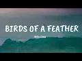Download Lagu Billie Eilish - BIRDS OF A FEATHER (Lyrics)