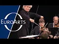 Lagu Erik Satie - Gymnopédie No.1 (Simon Rattle, Berliner Philharmoniker) | Waldbühne Berlin 2005