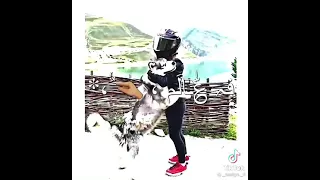 مهرجان مخي بعالم النسيان 