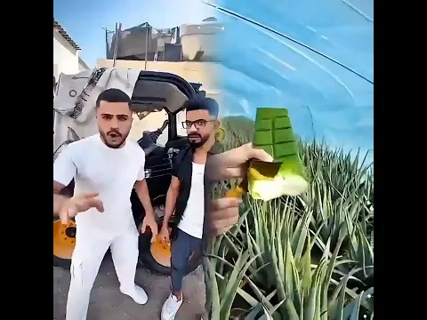 ٢٧ أغسطس ٢٠٢٦