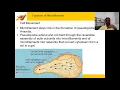 Microfilament