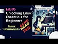 Lab Echo Head Tail Basic Linux Commands