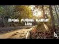 Kau Datang Lagi - Tulus (Lyrics/Lirik) @musiktulus