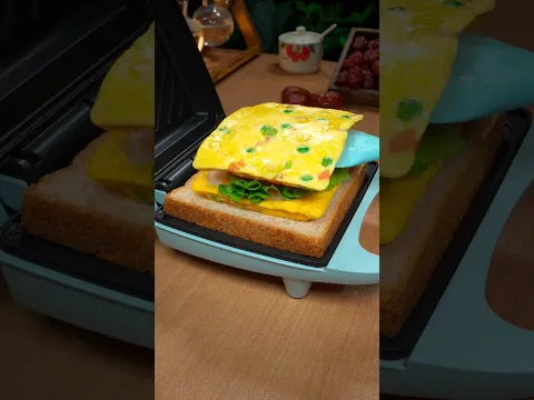 Monda Sandwich Maker for Home Breakfast