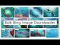 Bulk Bing Image Downloader