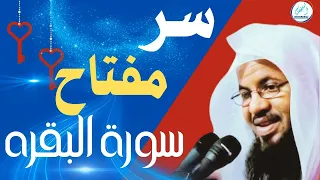 مفتاحك لفهم أسرار جديدة في سوره البقرة محمد بن علي الشنقيطي 