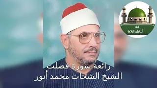 رائعة فصلت للشيخ الشحات محمد أنور رحمه الله 