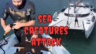 Creatures of the Keel ep98   HD 1080p