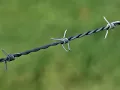 Мамо