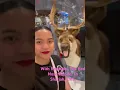 Lagu A Posed With The  Reindeer In Sharjah UAE.#fypviral #amazing #hospitalityindustry #hospitality #fyp.