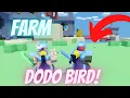 How To FARM The Dodo Bird in Roblox Bedwars