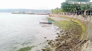 lagu daerah wanci jawaban gadis sandaha