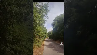 مجوزهدى الزرزور  على الشجر دندنها