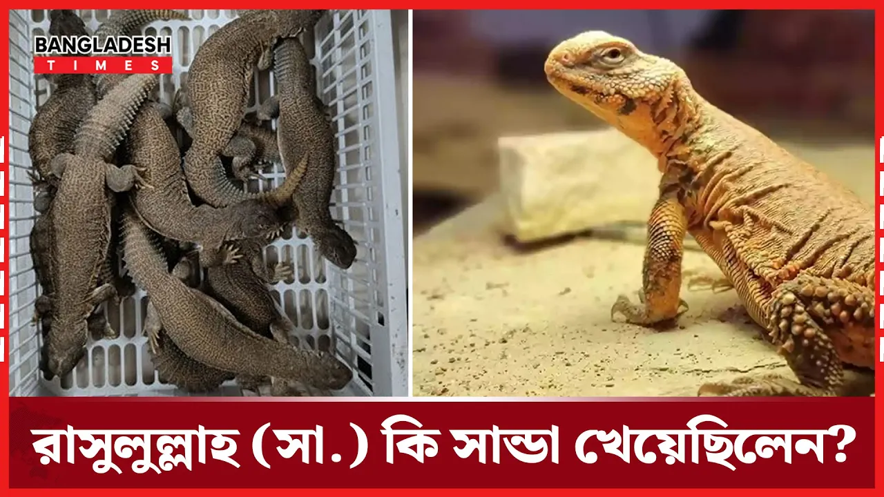 সান্ডার মাংস খাওয়া নিয়ে নবীজি (সা.) কী বলেছিলেন?