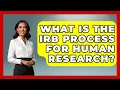What Is The IRB Process For Human Research - Everyday Bioethics Expert