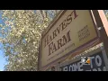 Harvest Farms Put Former Addicts To Work