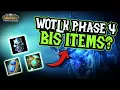 10 BiS ITEMS from Phase 3 you NEED for Wotlk Phase 4