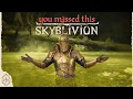 Lagu See These Changes Before You Play the Oblivion Remake | SKYBLIVION Secrets