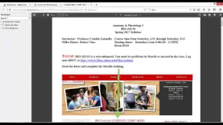 Prof Gonnella s A P I BIO-203-S1 Moodle Overview