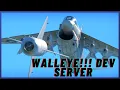 War Thunder Dev Server WallEye Tutorial