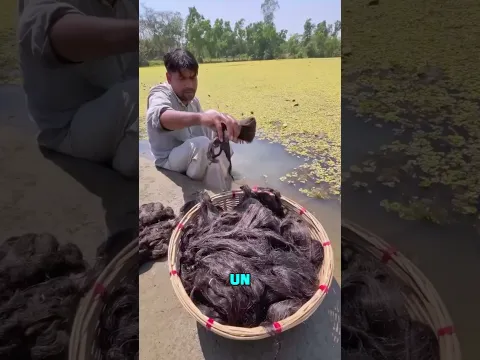 la fabrica de extenciones piojosas mas exclusivas de toda india🥵  #india # #cocina #viral