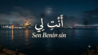 أ ن ت  ل ي                                                دندنها