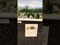 GADSDEN ALABAMA HISTORICAL SETUP