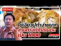 Download Lagu ไข่เจียวปูทำง่ายมาก ส่วนต่างกำไรต่อจานเป็นพัน