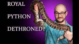 Ball Python Vs Boa What Is The BEST Pet Snake