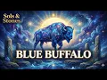 Lagu Sols \u0026 Stones — Blue Buffalo (Official Audio)