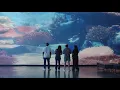 OdySea Aquarium Case Study