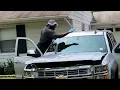 Chevy Silverado Truck Windshield Replacement NJ Auto Glass