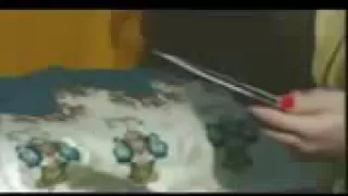 صحبت عمر عشرة سنين 