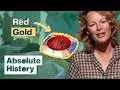 What Is This The Most Expensive Spice In The World The Spice Trail Absolute History