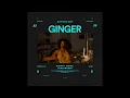 Download Lagu AFRO INSTRUMENTAL - \