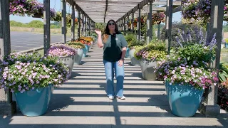 Proven Winners 2026 New Annuals Available Now