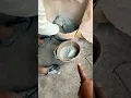 Proses Membuat Adonan Semen Ngaci Menghaluskan Dinding Beton