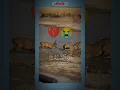 Download Lagu Heart-Touching Surah Al-Ikhlas Recitation | Lion Attacks Deer in the Wild – Emotional Wildlife Scene