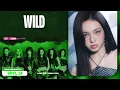 BABYMONSTER - WILD | Line Distribution