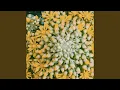 Download Lagu Astrantia
