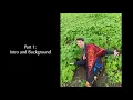 Part 1 Intro and Background Transgender Transformation