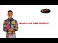 What are HTML style Attribute codewithpunchy