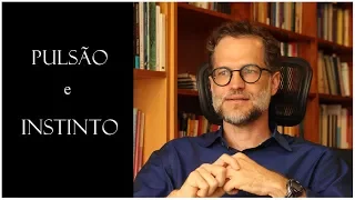Pulsão e Instinto