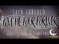 GIVE ME YOUR FOREVER - Zack Tabudlo ( Acoustic Karaoke/Lower Key )