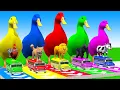 Download Lagu 5 Giant Duck Cartoon,Cow,Elephant,Tiger,Lion,Gorilla, Paint Wild Animals Crossing Fountain Animation