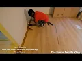 The Evans Family LifeProof Dusk Cherry Laminate Flooring Installation Part 1