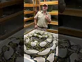 Giant SNAKE Giant BITE
